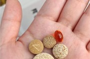 金毛幼犬的适宜零食选择（了解金毛幼犬适宜的零食选择以及"金毛幼犬"）