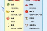 泰迪犬饮食清单（了解泰迪犬能吃和不能吃的食物，保持它们的健康和幸福）